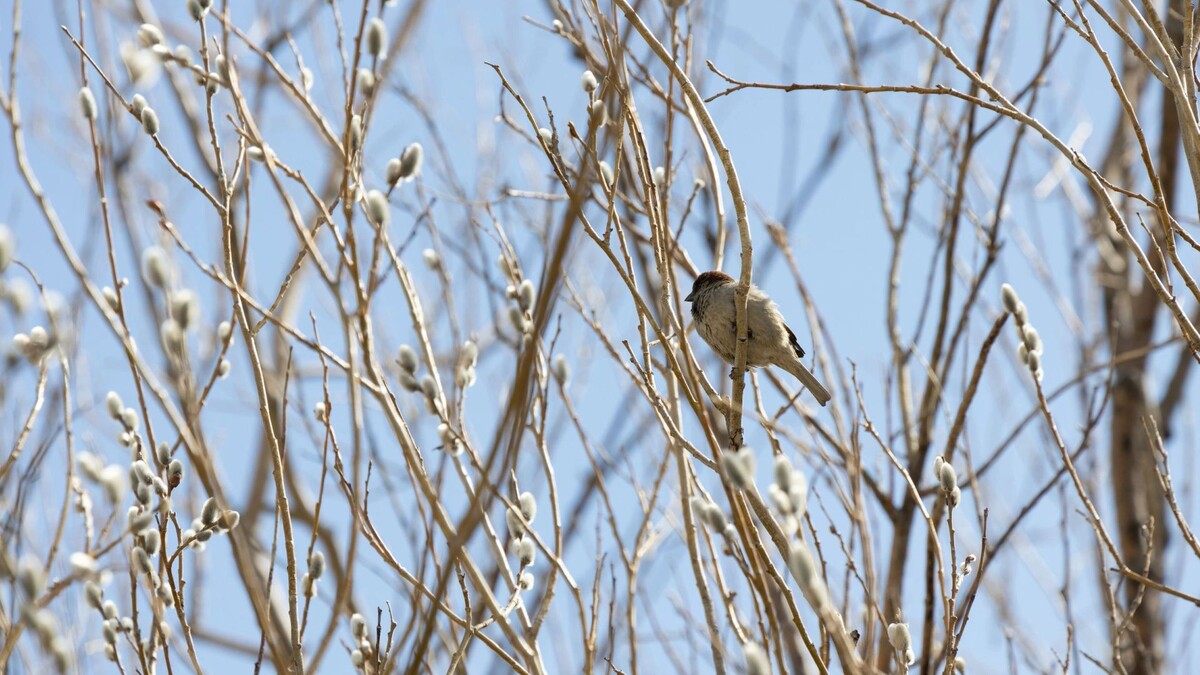    Фото: Федор Воронов/«Ямал-Медиа»
