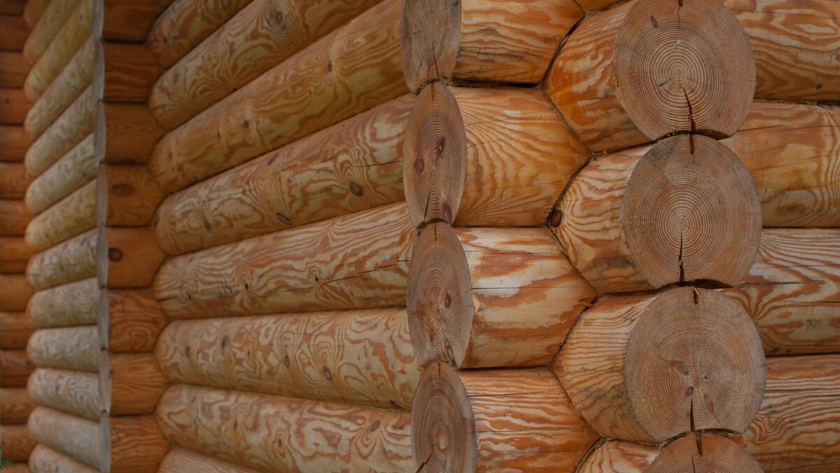    Фото: ZVIAGIN ALEKSEI/Shutterstock/Fotodom