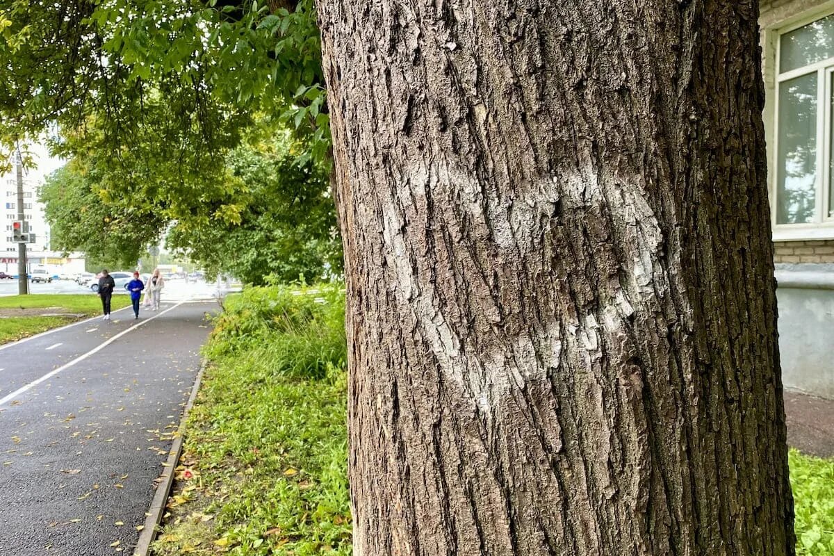 Фото: UfaTime.ru