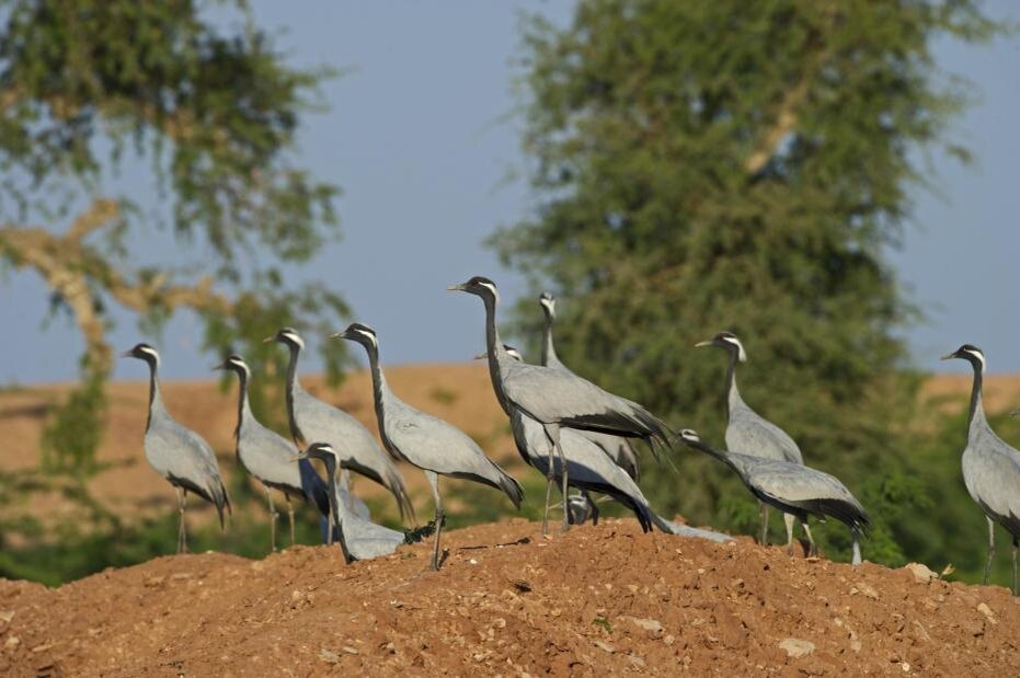    David tipling/Global Look Press