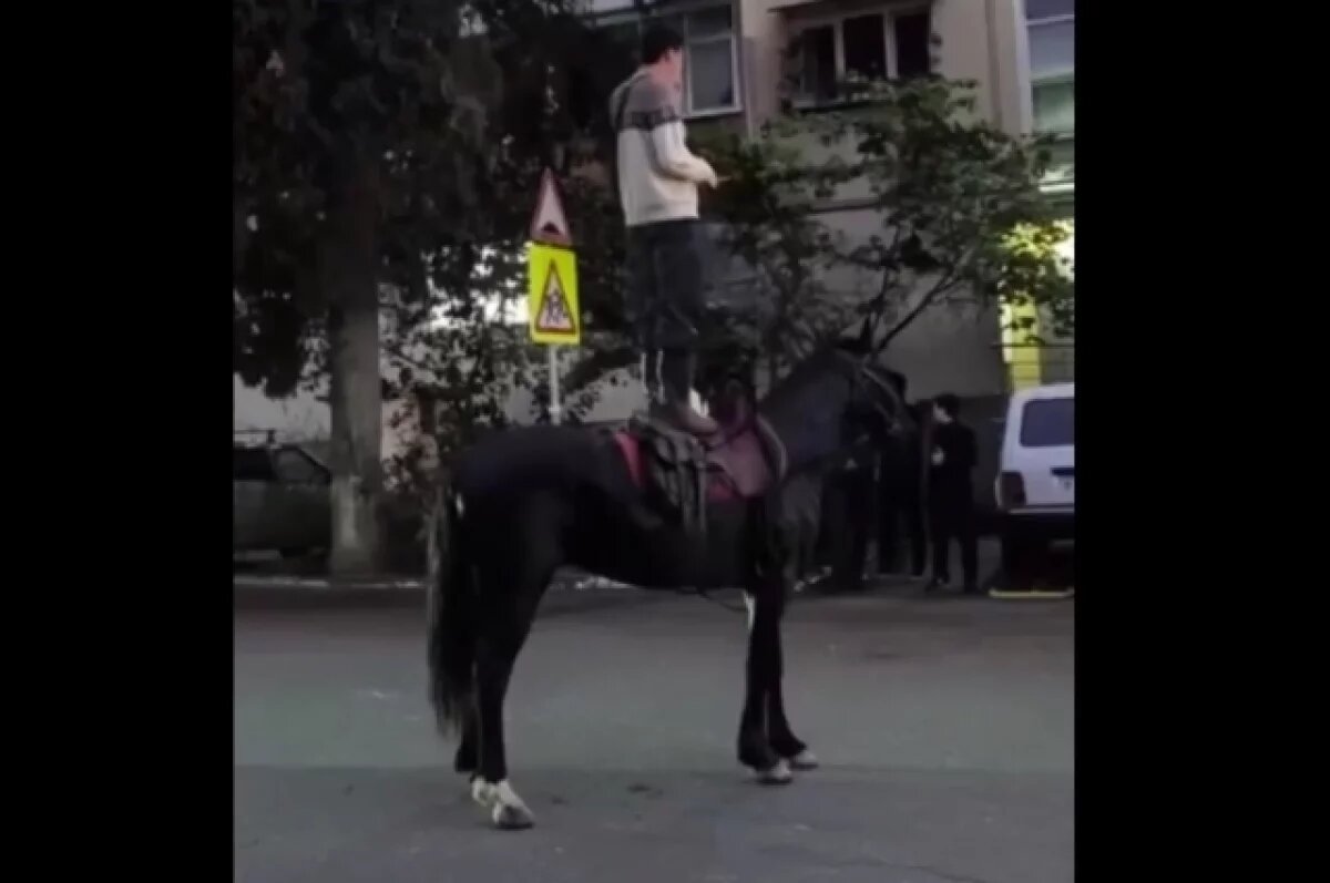    В Сочи полицейские задержали наездника, устроившего дебош