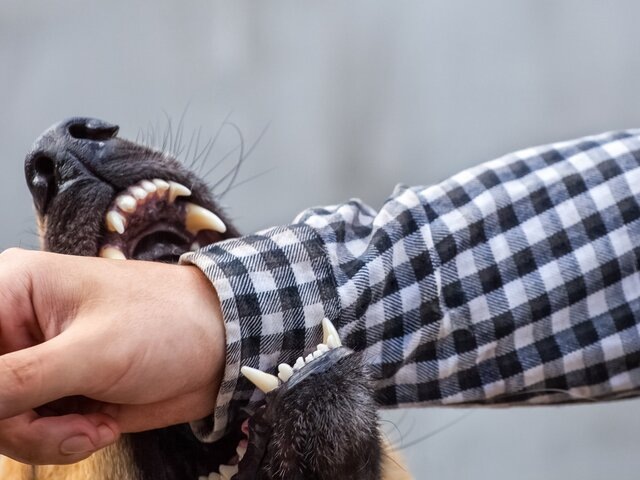    Фото: 123RF/dimid86