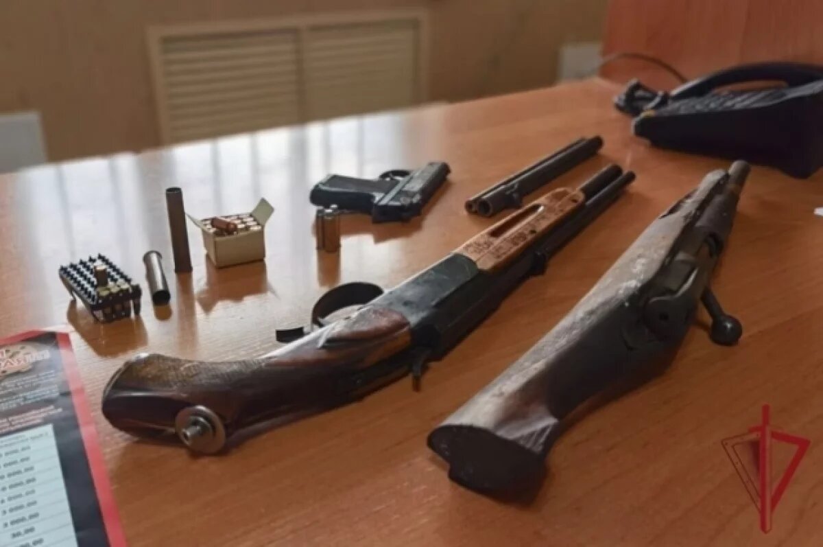    Восемь единиц оружия изъяли псковские росгвардейцы за неделю