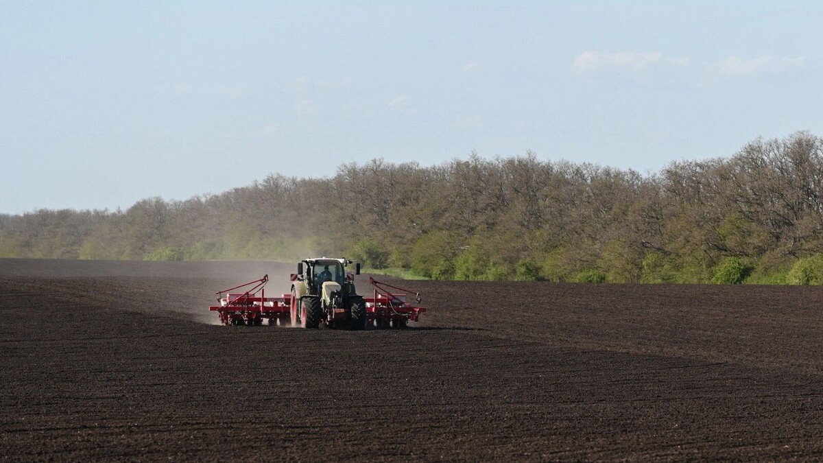     Автор: donland.ru