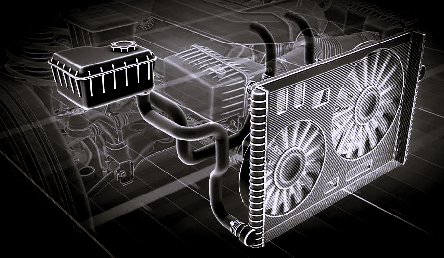Источник Яндекс Картинки