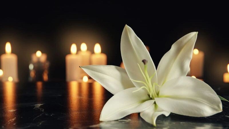    Фото: New Africa/Shutterstock/Fotodom