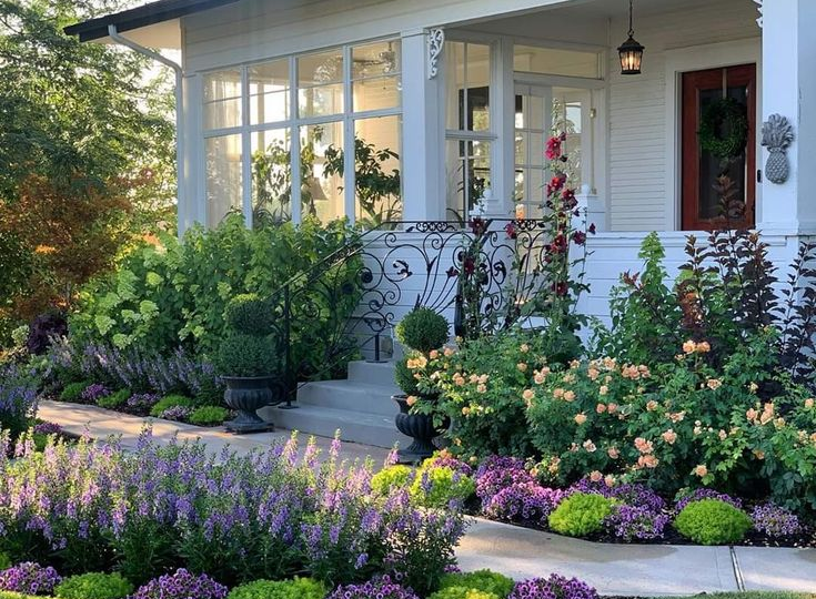 Лаванда, как в Провансе: 5 идей, как превратить ваш сад в ароматный уголок юга Франции