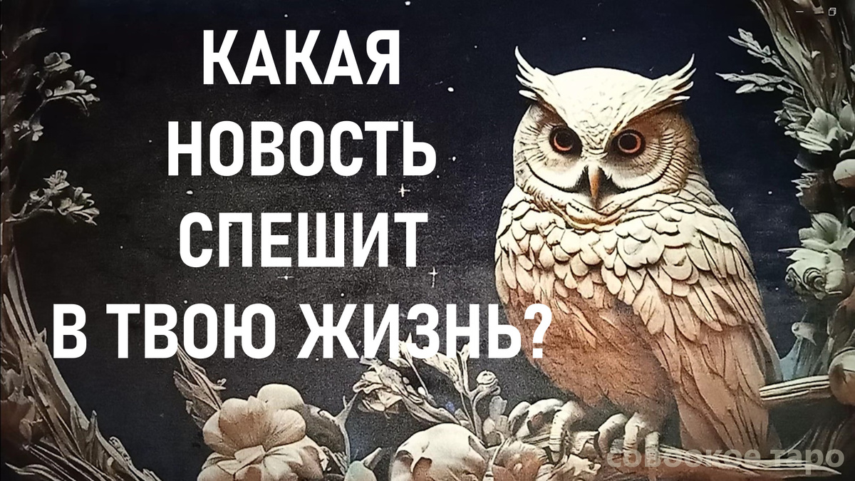 Совоокое таро, карты таро, расклад таро, таро онлайн, гадание таро, расклад