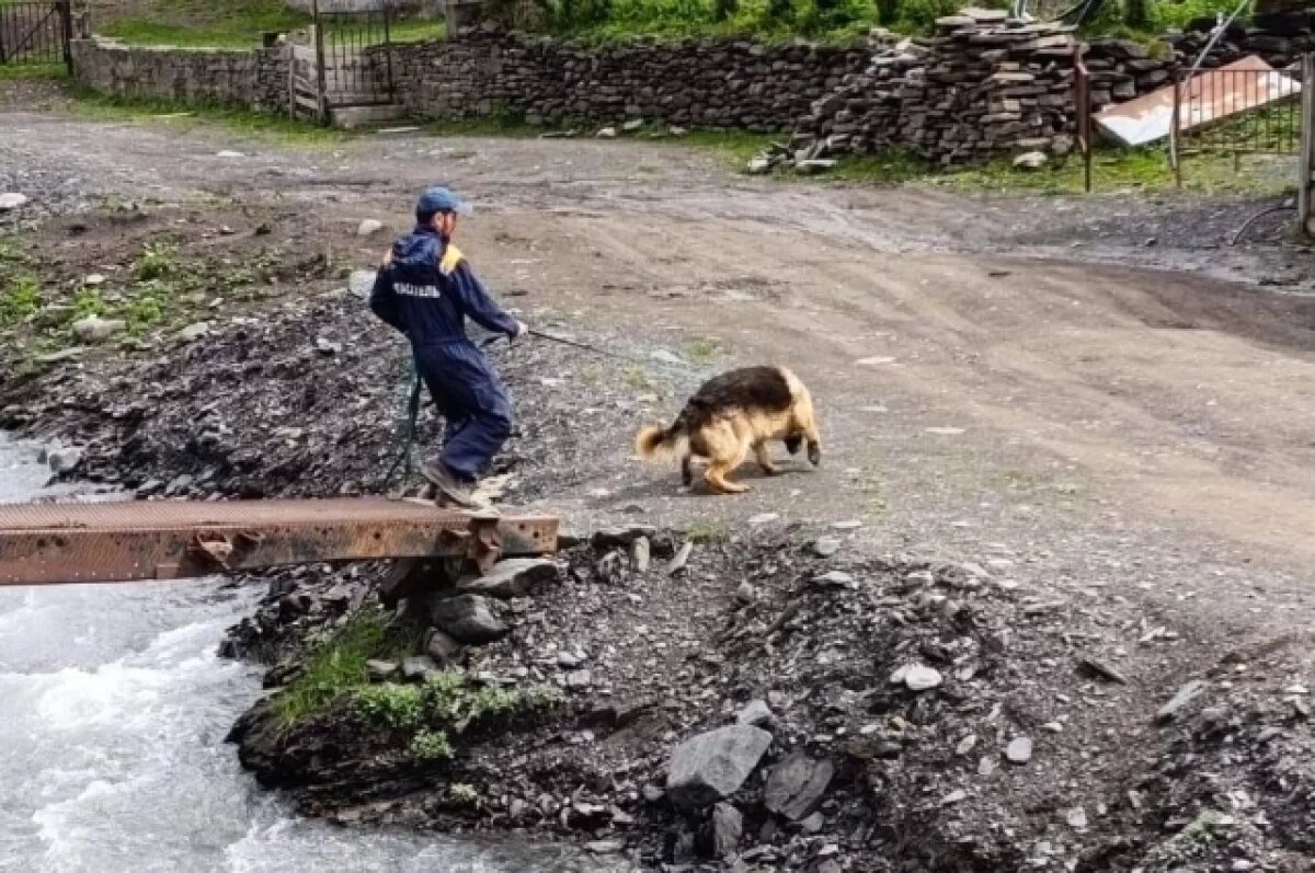    Спасатели Дагестана прошли 40 км вдоль берегов рек в поисках мальчика