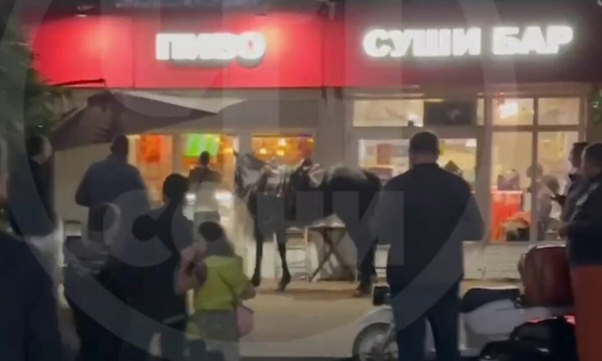    Фото t.me/chp_sochi