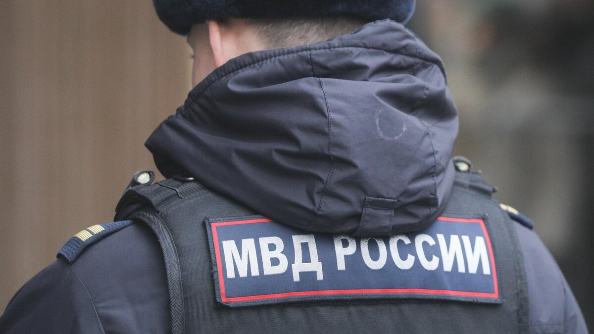    Фото: Alexey Belkin/Business Online/globallookpress.com