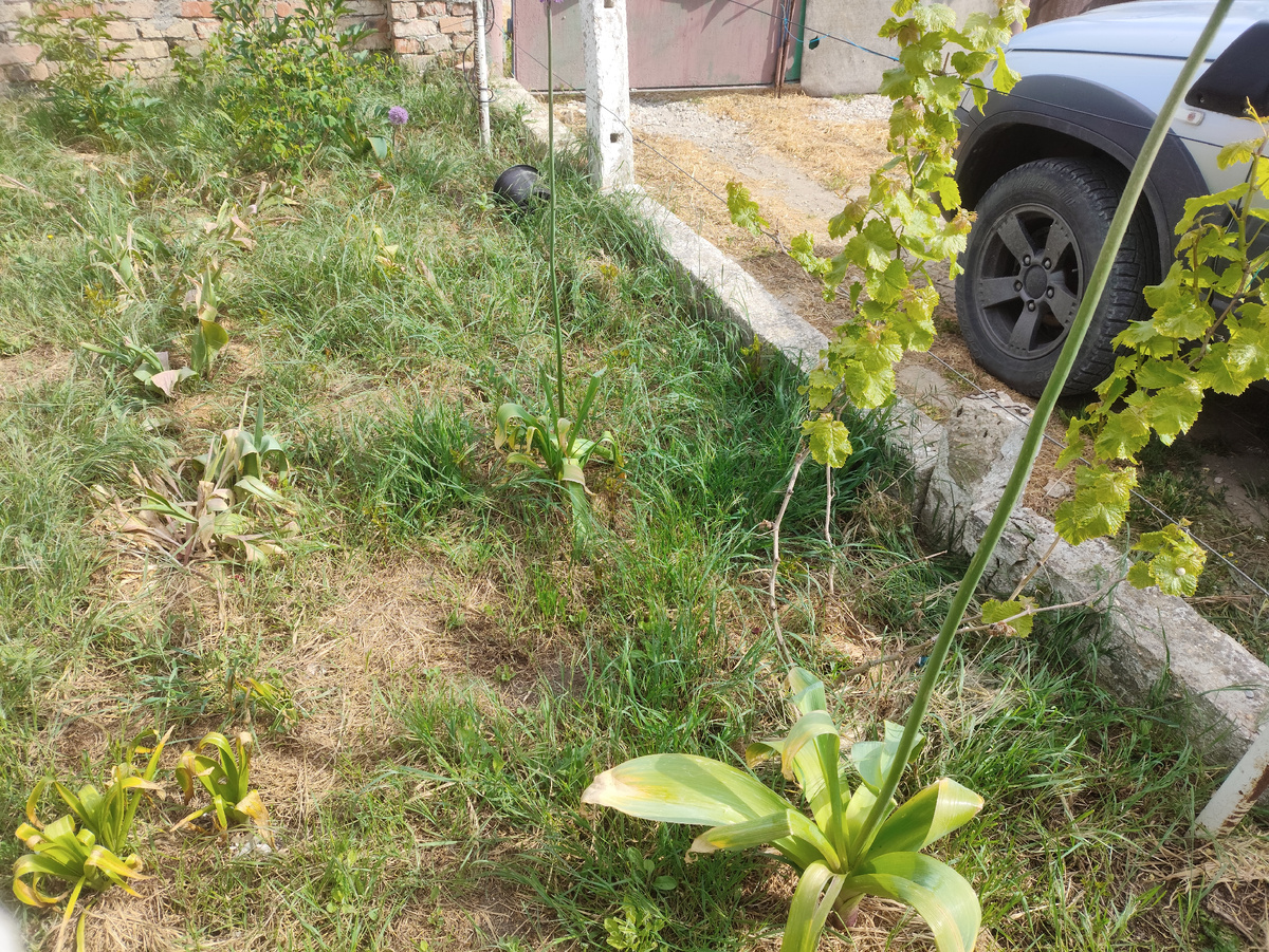 Фронт работы на утро