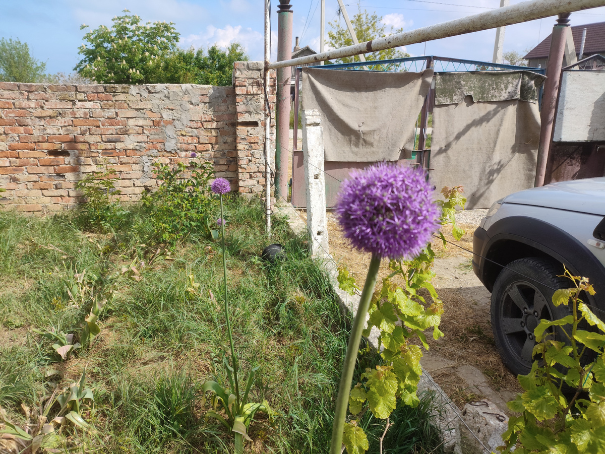 Три синих шара