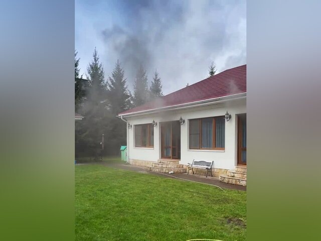    Фото: телеграм-канал TSOY_official