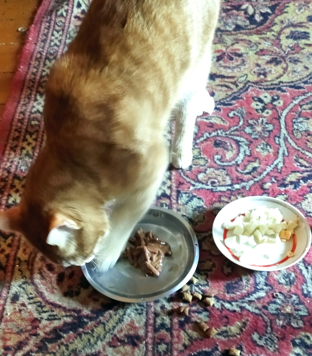 Личное  фото