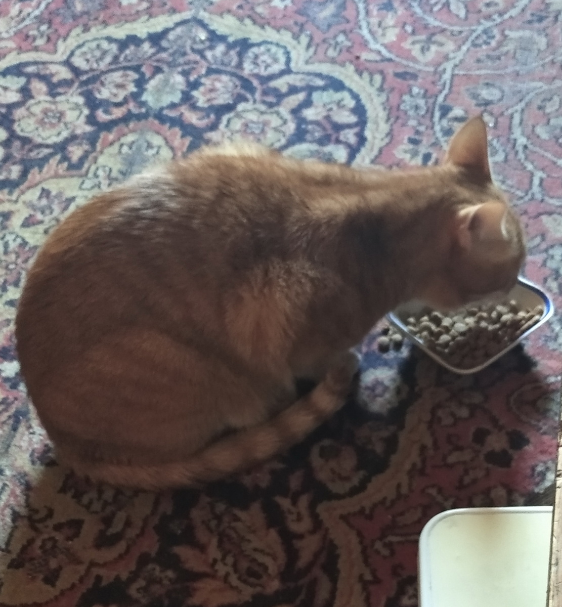 дичное фото.