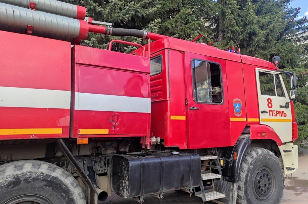    Фото: В курсе.ру Полина Анкушина