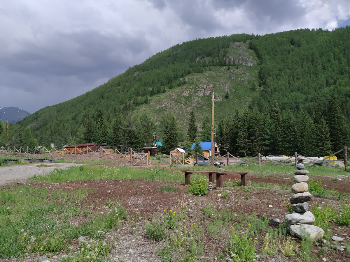 Те самые горы с медведями на Алтае :)