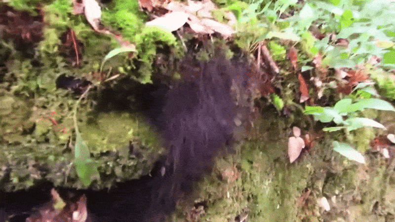 Нравится Формат? Поддержи Канал Лайком и напиши какой эпизод понравился больше всех
