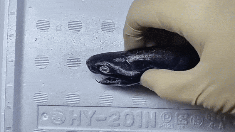 Нравится Формат? Поддержи Канал Лайком и напиши какой эпизод понравился больше всех
