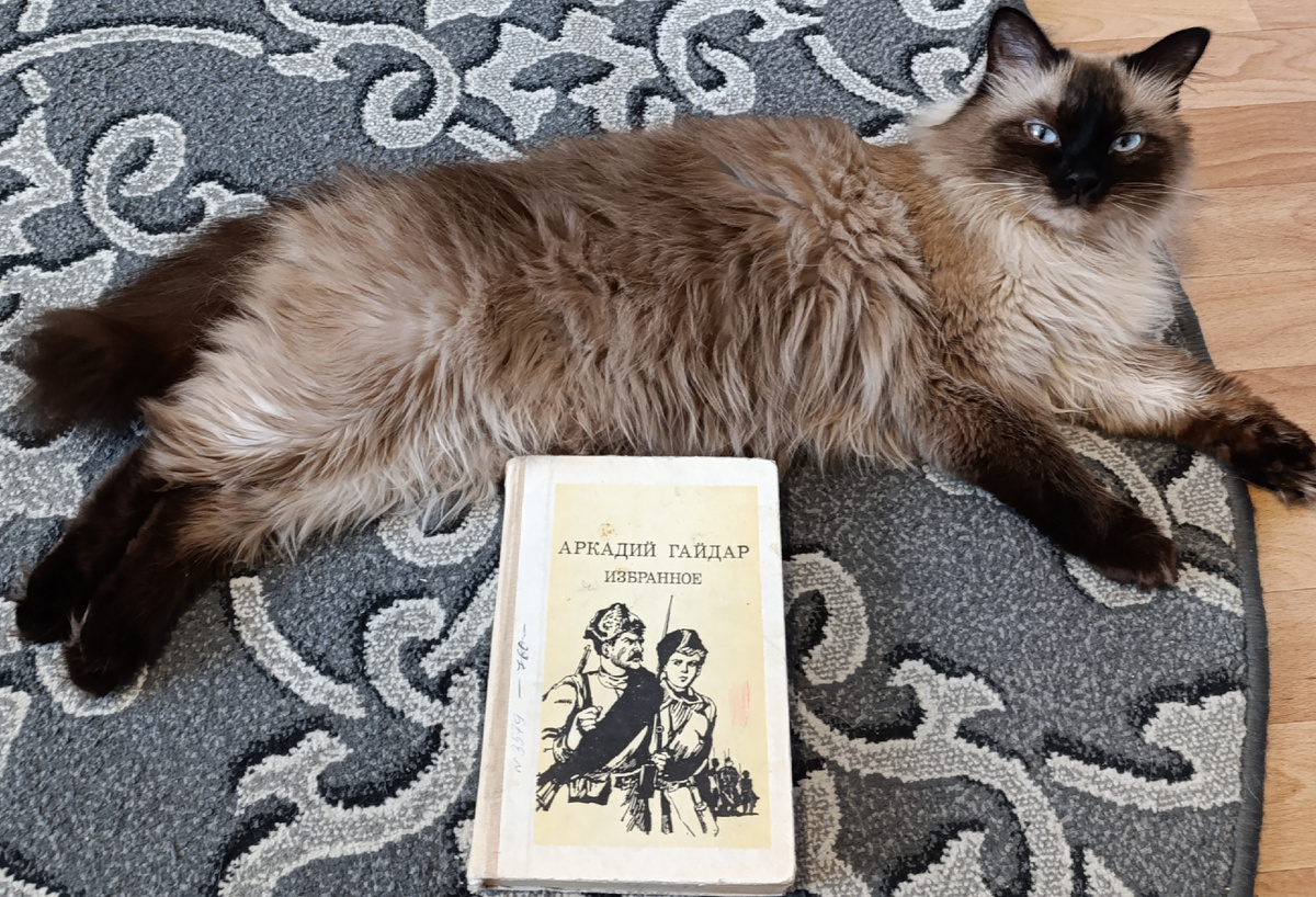 Книгу из школьной библиотеки сегодня представляет Джессика.