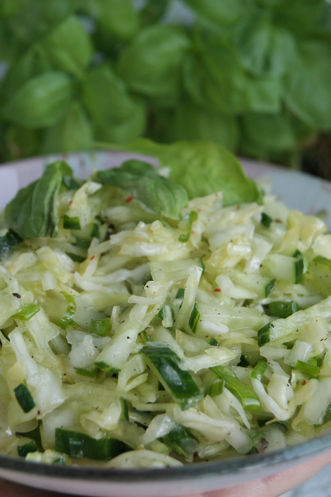 Фото автора. Салат из свежей капусты и огурцов