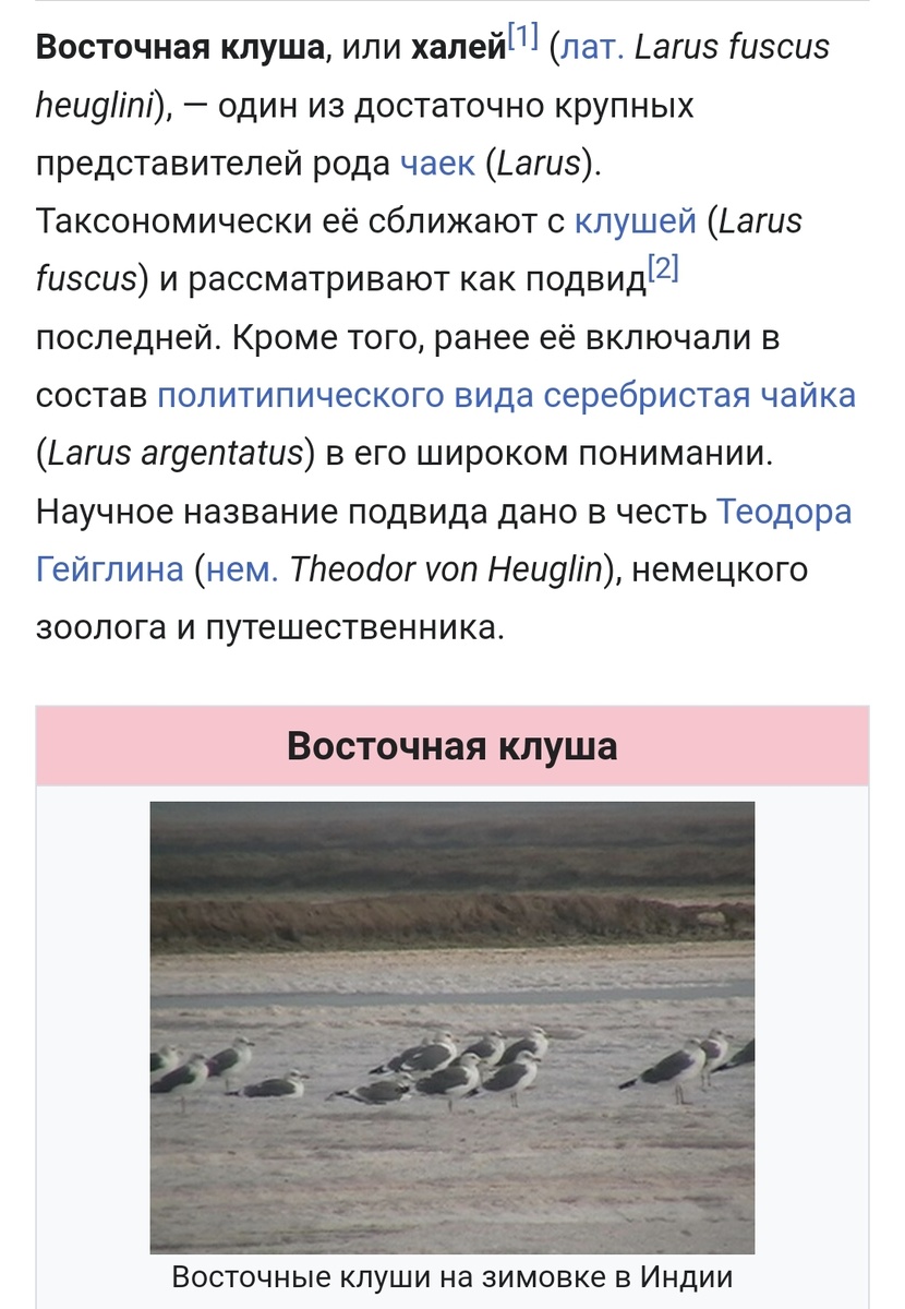 Из википедии