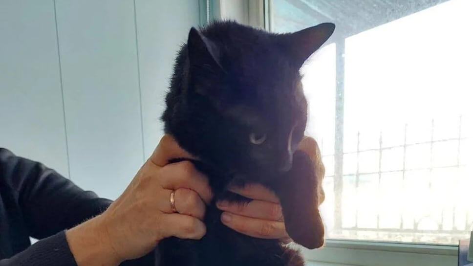 Фото: Транспортная группа Fesco