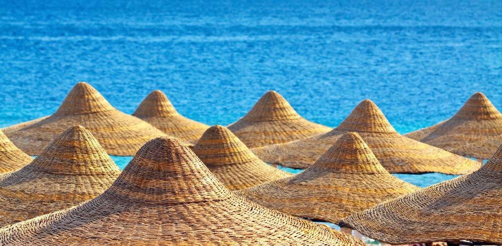    фото: bearfotos © freepik.com