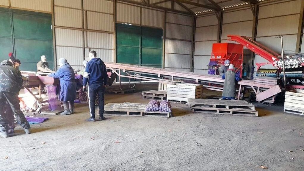     Автор: donland.ru