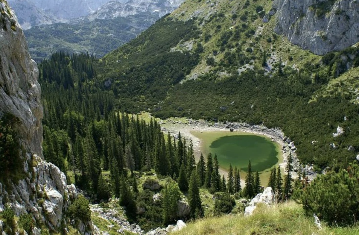 Из открытых источников