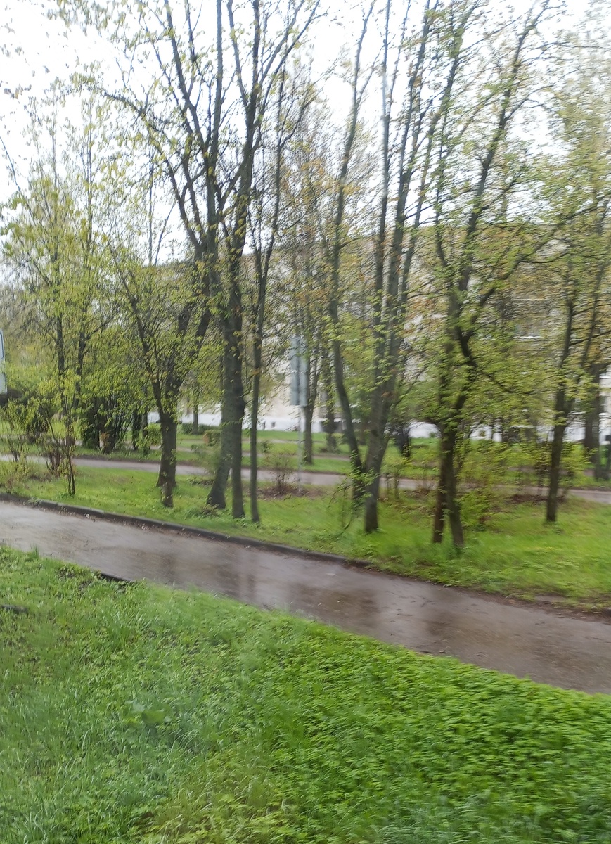 Фото автора. 