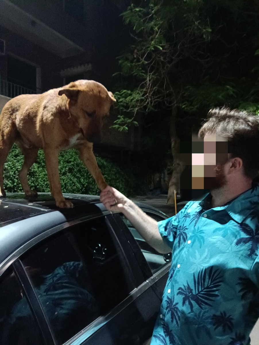 Знакомство с местными в Каире