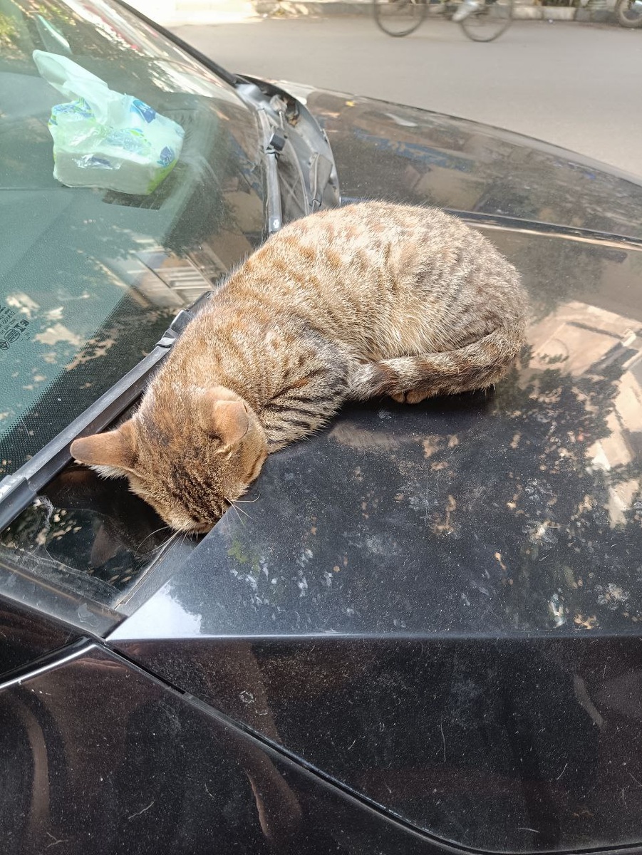 Чтобы свет не мешал) 