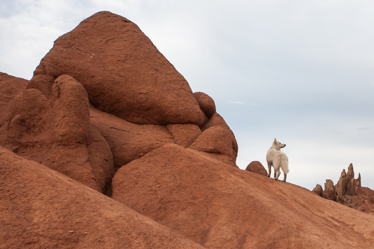 Картинка для привлечения внимания