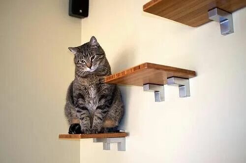 Фото из Интернета.