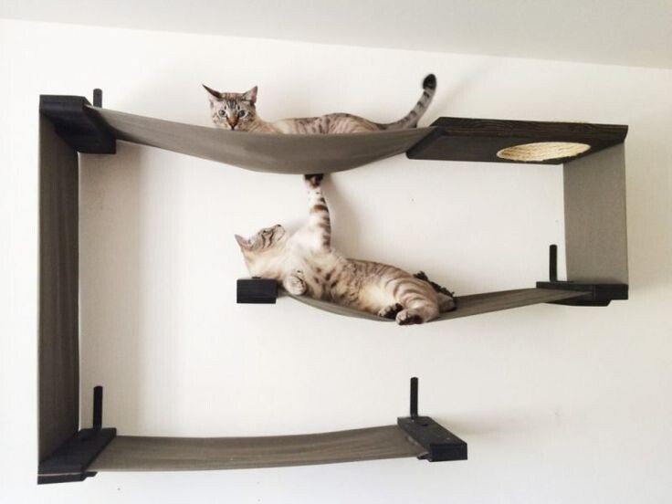 Фото из Интернета.