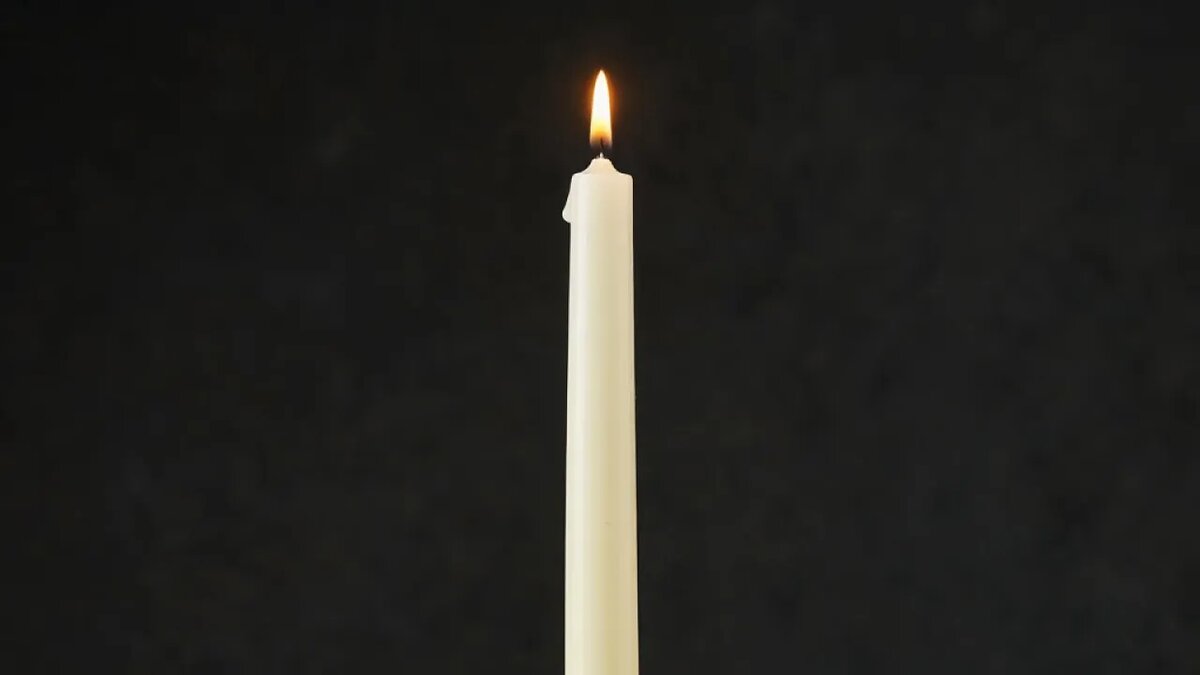    Сгенерировано ИИ