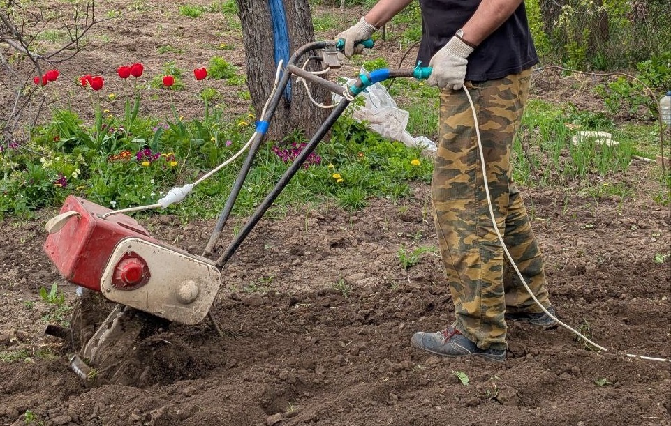 Фото автора. Копаю раритетным электрокультиватором