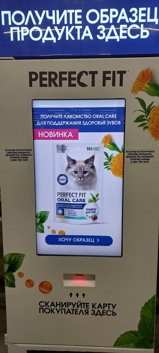 Фото личное