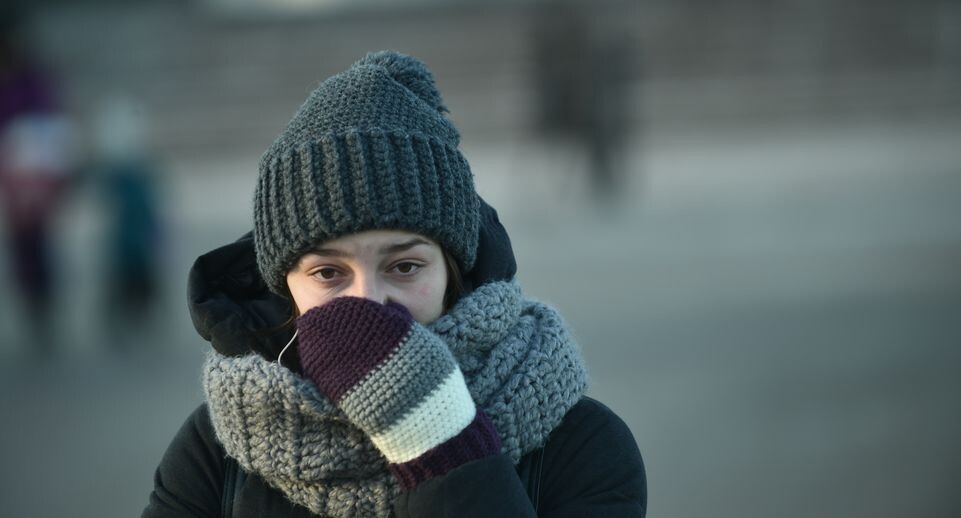    Медиасток.рф