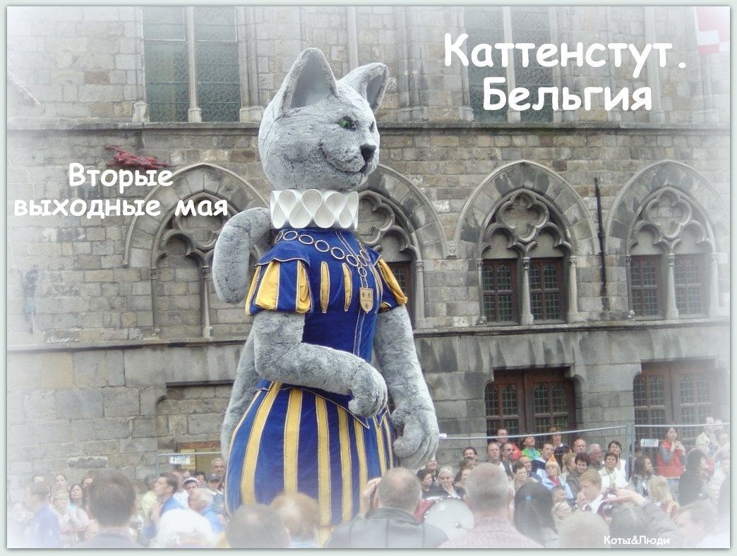 Коллаж автора. Использовано фото: staticflickr.com