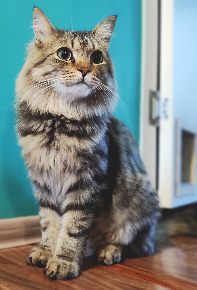 Ищем богатых инвесторов, которые хотят вложиться в производство фотокарточек с Масей. Готовы принимать деньги и славу. Масе славу, мне деньги