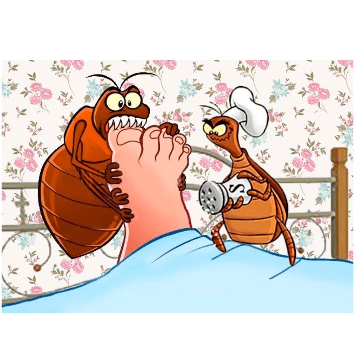 Фото из открытых источников интернета 