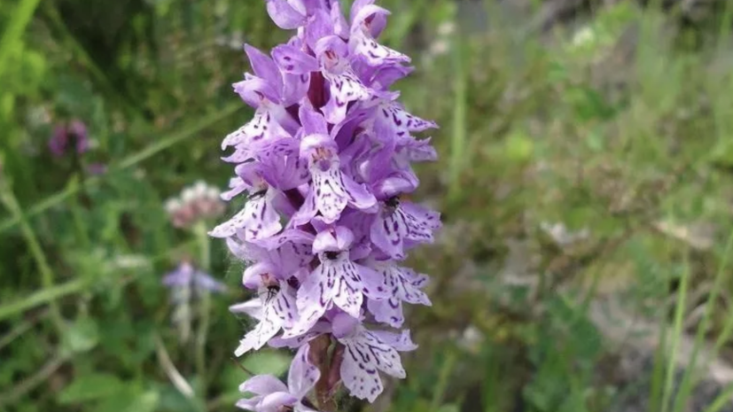    Минэкологии Московской области