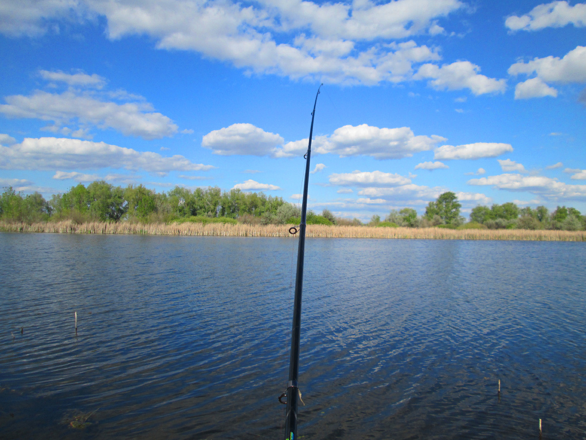 Моя новая удочка 