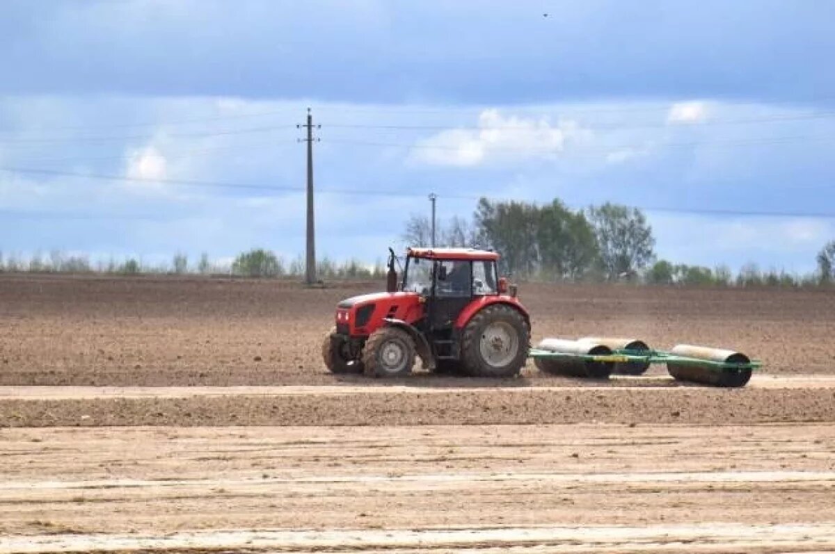    В Тверской области поля готовят к новому урожаю