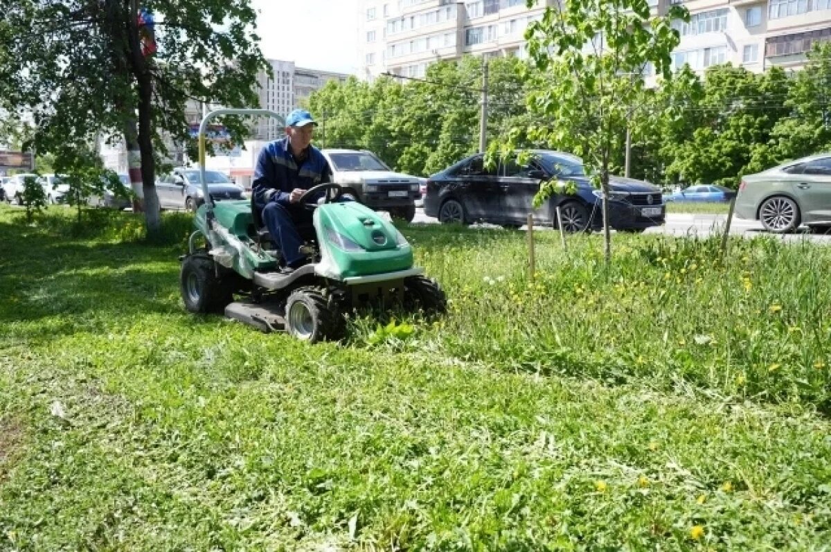    Городские службы Ульяновска приступили к покосу травы