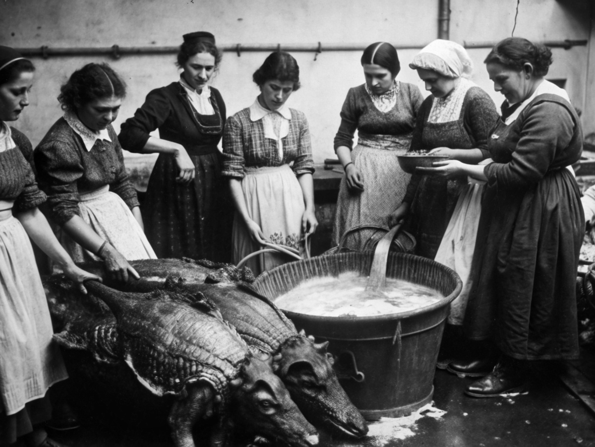 Как должна называтьтся эта фотография?