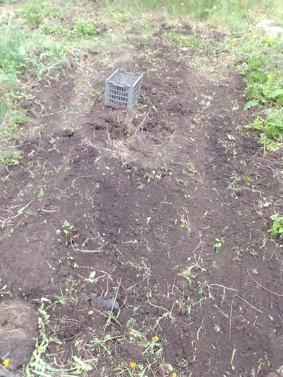 Почему не убираю ящик? Потому что под ним спрятано кое-что ценное. Тем, кому интересно узнать, что именно, оставлю ссылку под этой статьей.